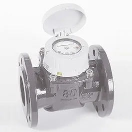 Водосчетчик HWZ WP-MFD 10124100