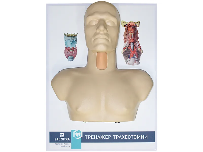 Тренажер трахеотомии Зарница