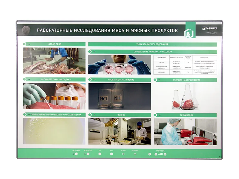 Стенд Зарница исследования мясных продуктов